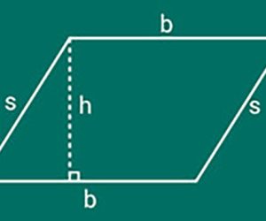 Areas-of-Parallelograms-and-Triangles-Class-9
