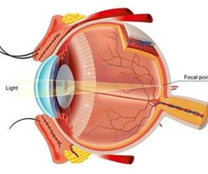 Class-10-The-Human-Eye-and-Colorful-World