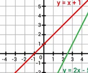 Pair-of-Linear-Equations-in-Two-Variables-Class-10