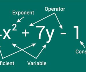 Polynomials-Class-9